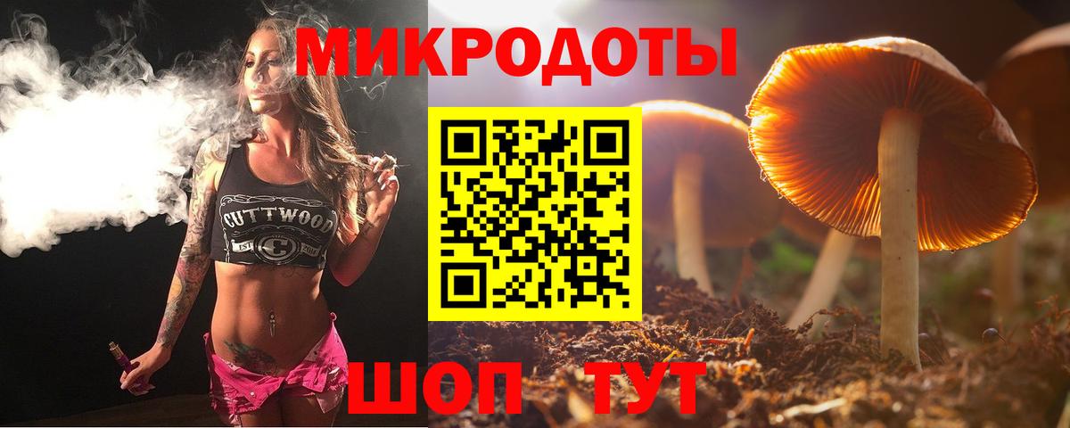 Псилоцибиновые грибы Cubensis Куйбышев