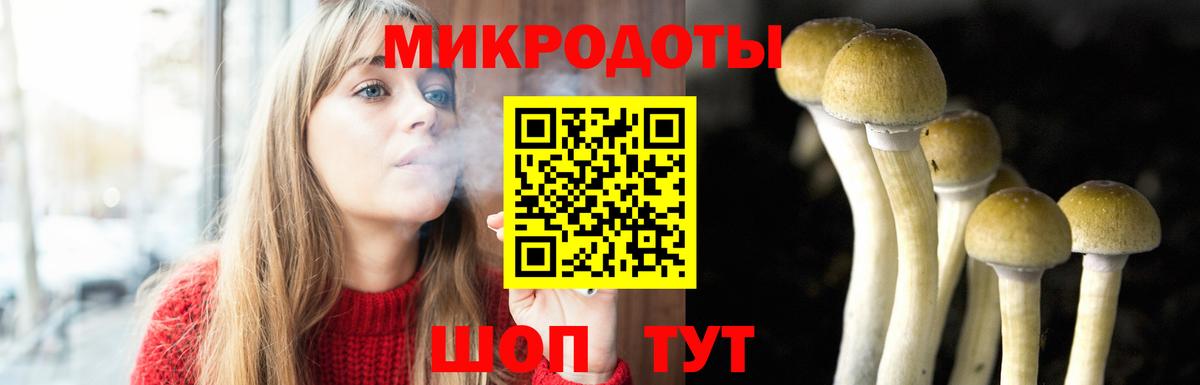 Куйбышев  Галлюциногенные грибы Magic Shrooms  Вход с VPN 